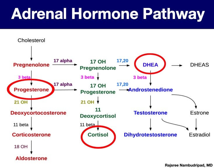 Pregnenolone 10 mg