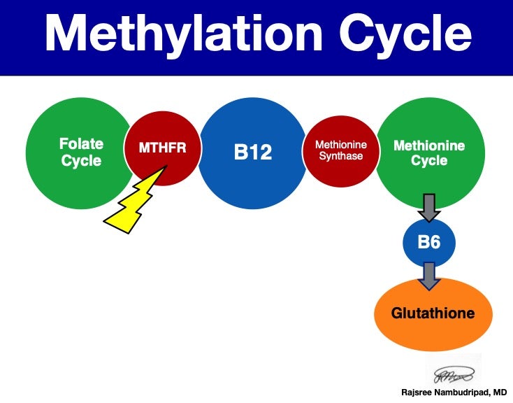 Methylation Support