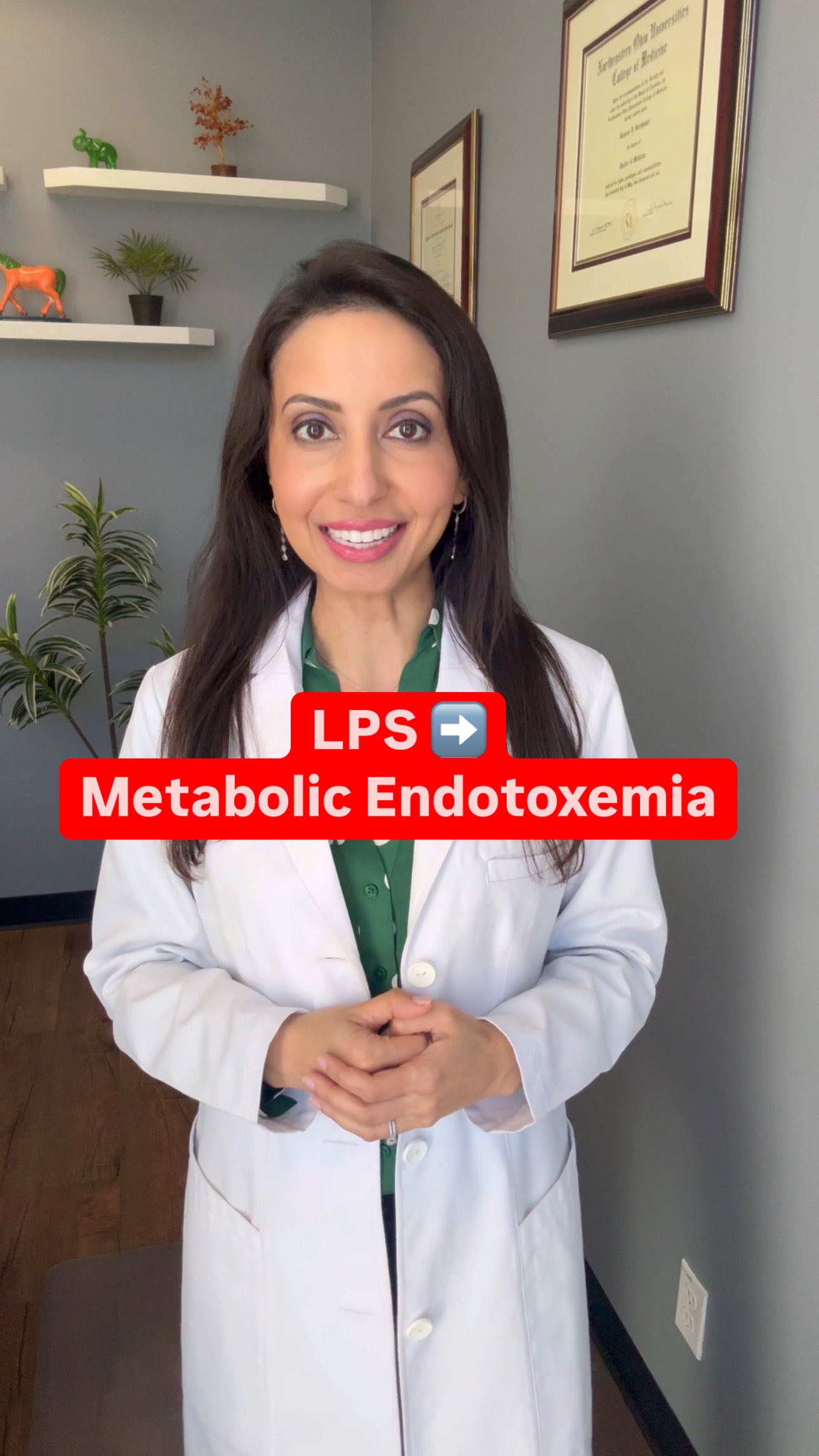 LPS and Metabolic Endotoxemia