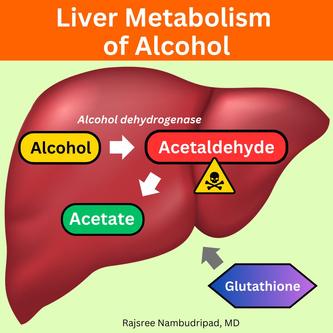 The Truth About Alcohol: Are You Drinking Poison? 🥃