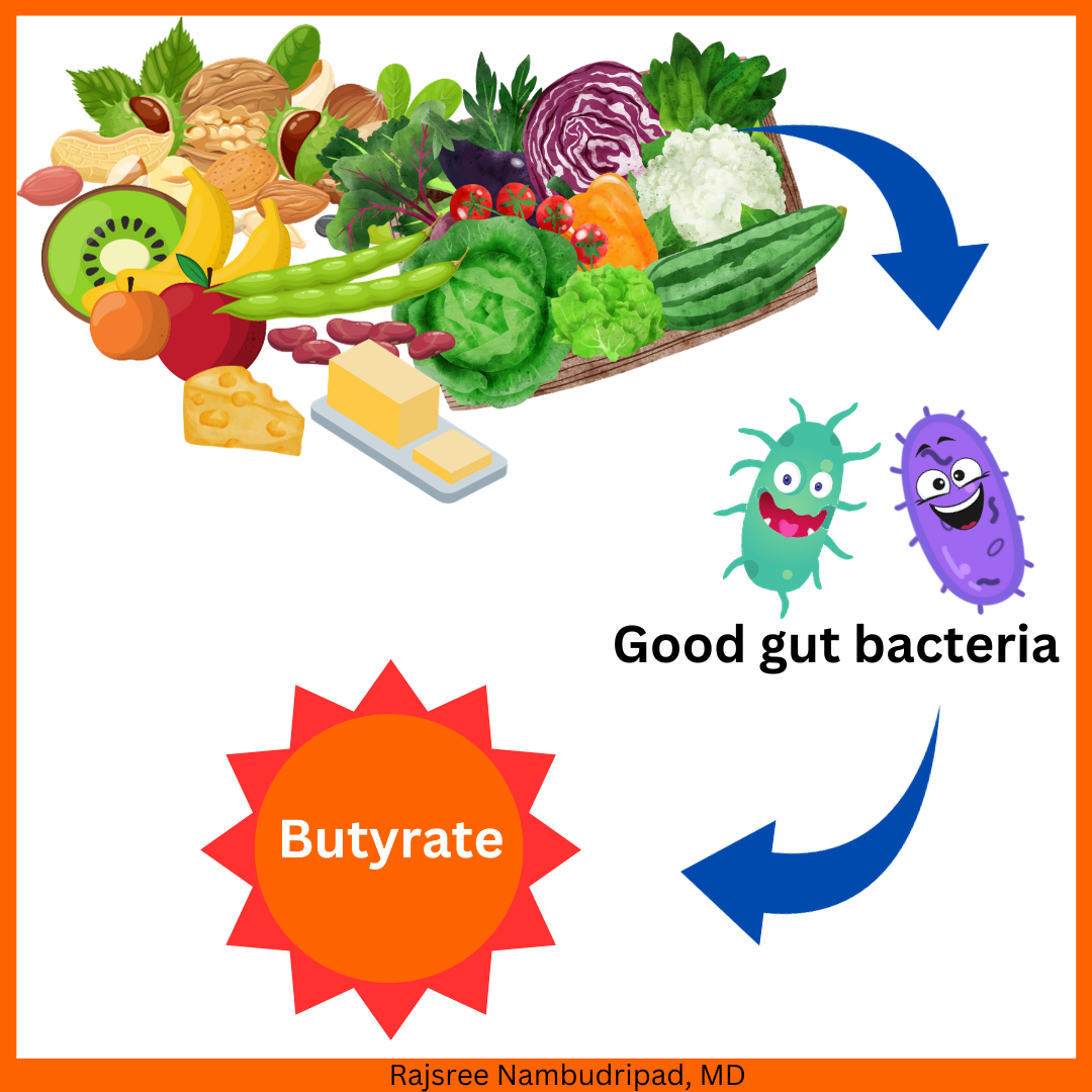 Is Your Gut Microbiome Making Butyrate? 🎖️