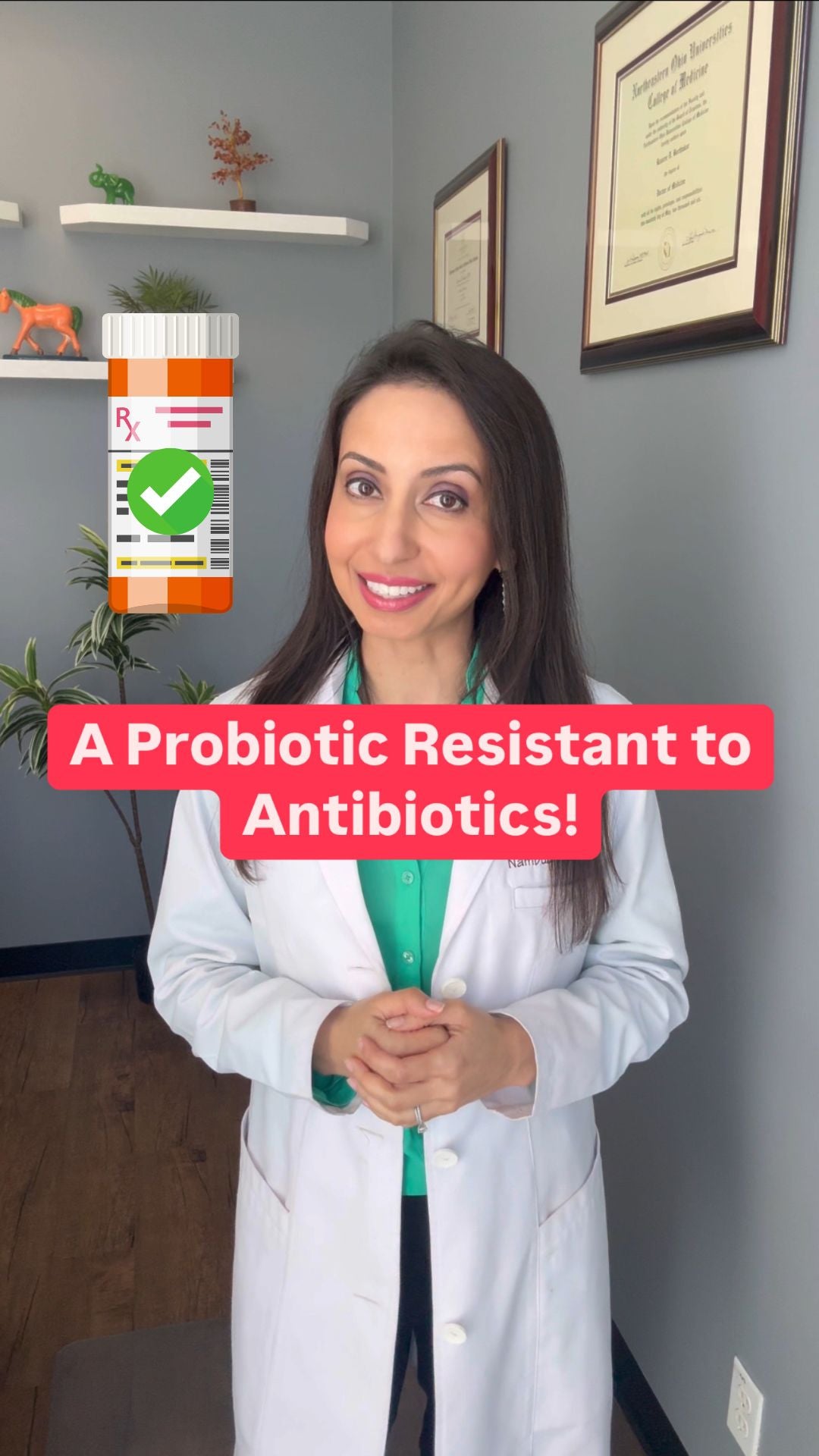 A Probiotic Resistant to Antibiotics!