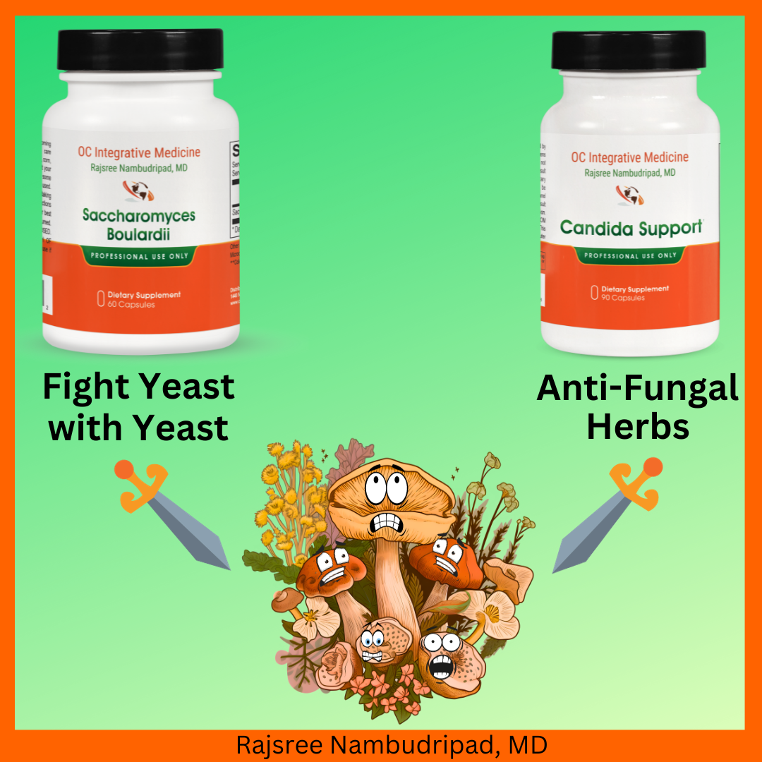 Saccharomyces boulardii (The Probiotic Yeast)