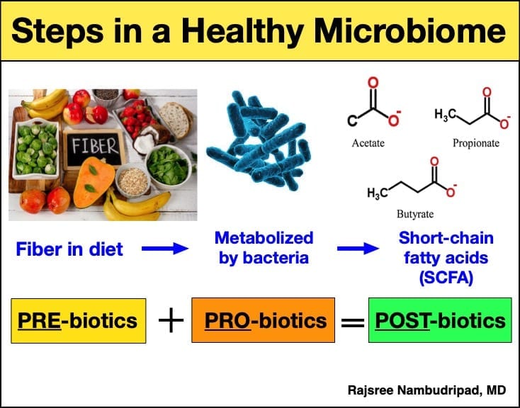 Prebiotic Fiber